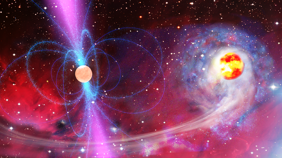 Pulsar and Star Remnant