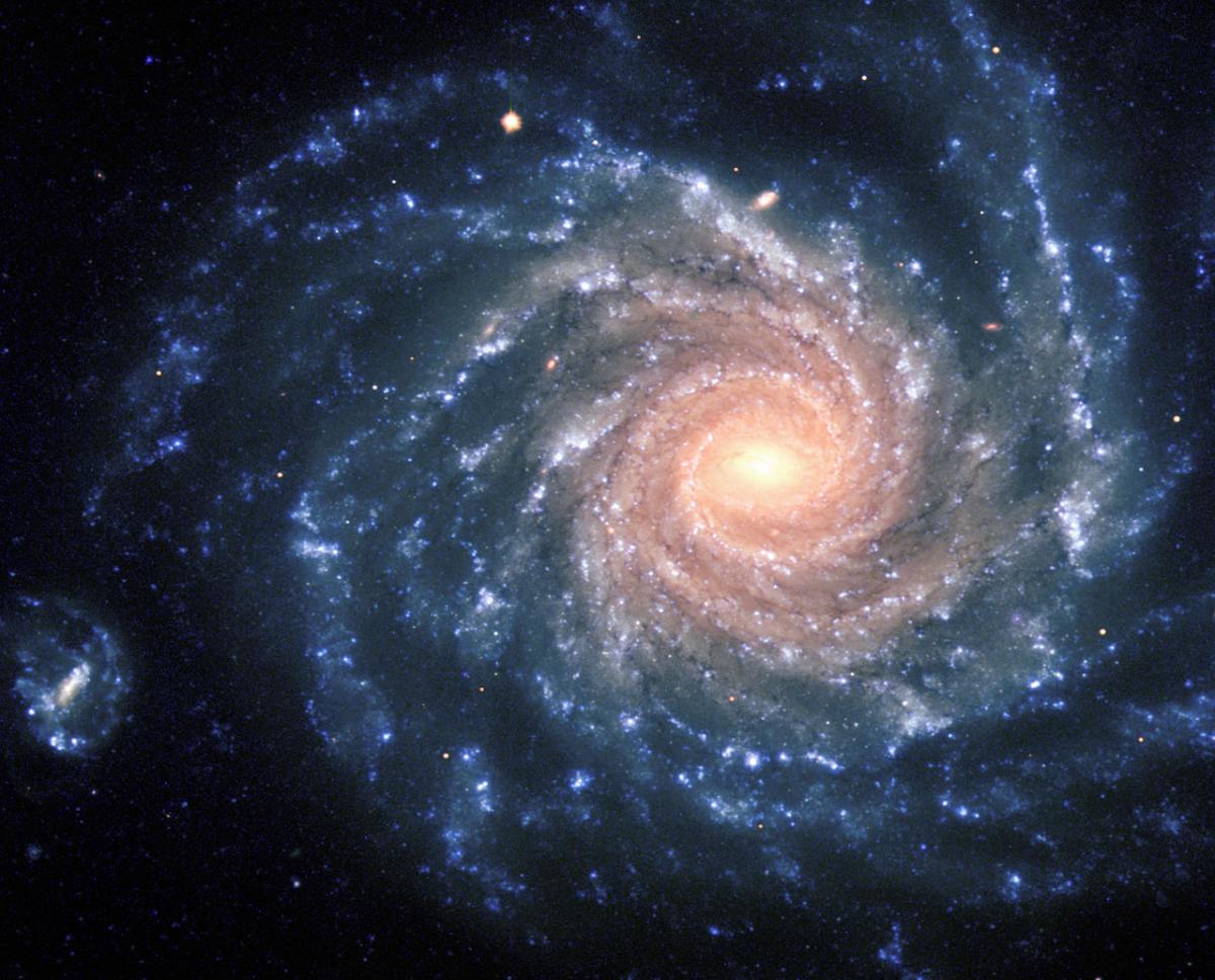 Galaxy - NGC 1232