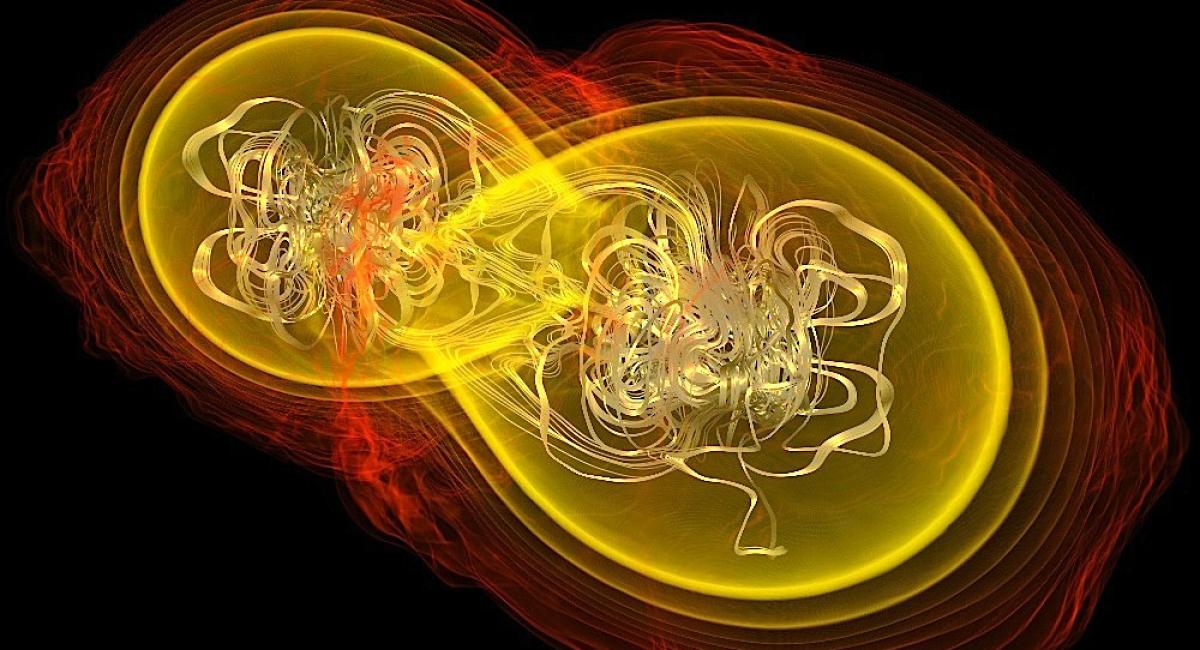 Neutron Star - Merger