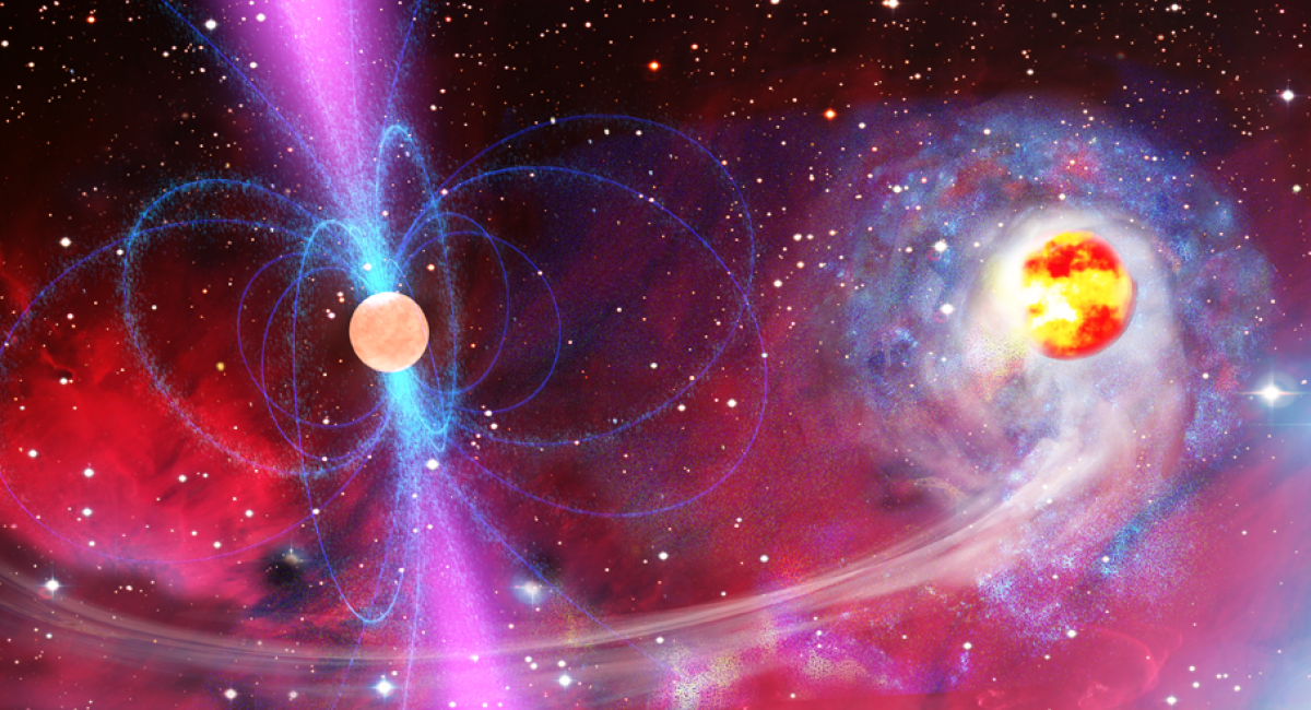 Pulsar and Star Remnant
