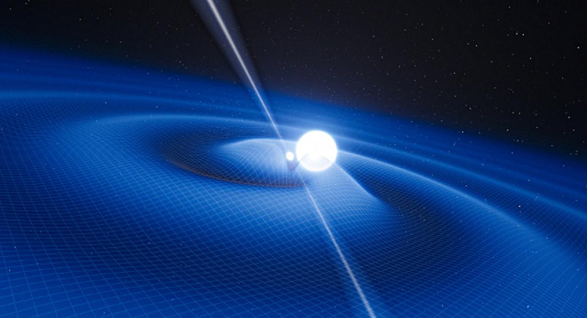 Pulsar and White Dwarf