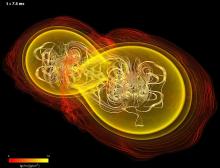 Neutron Star - Merger
