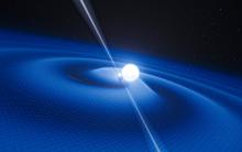 Pulsar and White Dwarf