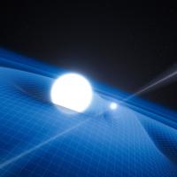 Pulsar PSR J0348+0432 and White Dwarf