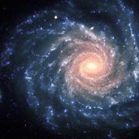 Galaxy - NGC 1232