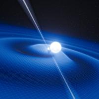 Pulsar and White Dwarf